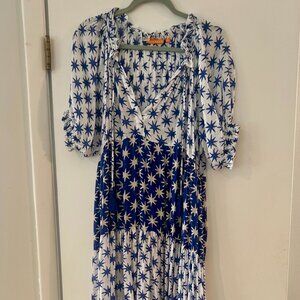 Oliphant Blue and White Star Maxi Dress